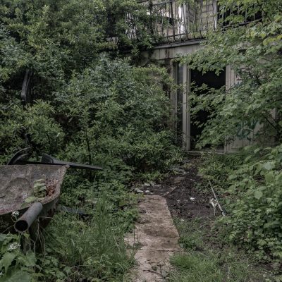 Entering the wild