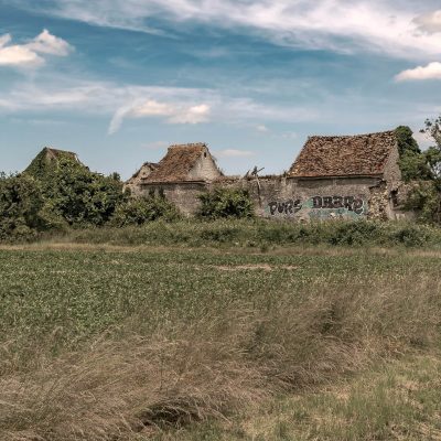 Old stones and vegetation