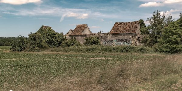 Old stones and vegetation