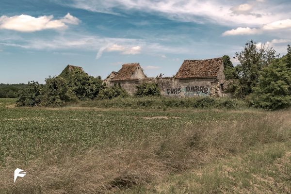 Old stones and vegetation