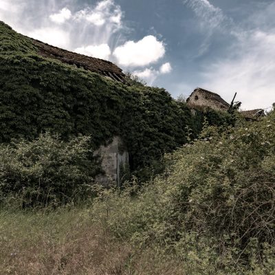 Ivy building