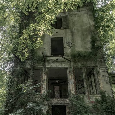 In the shade of the foliage