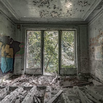 Window on the jungle