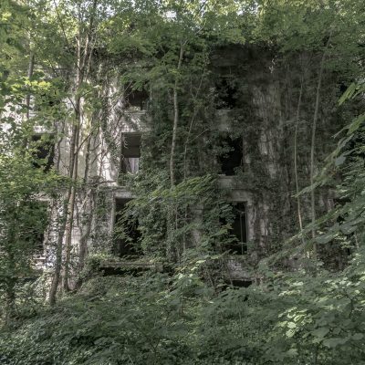 Concrete in the jungle