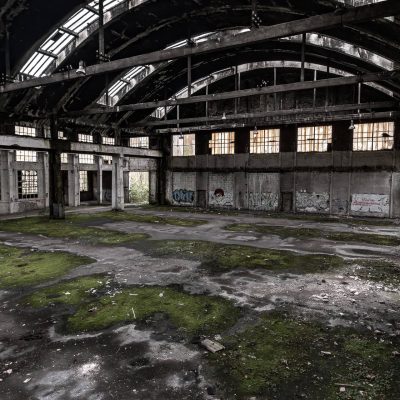 Concrete and moss structure