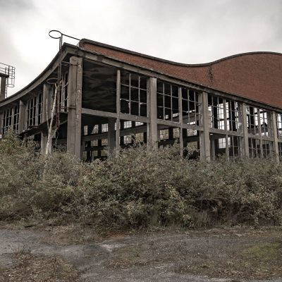 Bricks in the bramble
